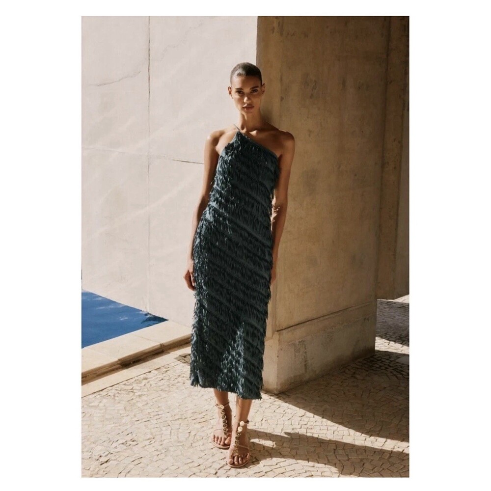 Zara Long Fringe Dress - Picture 11 of 15